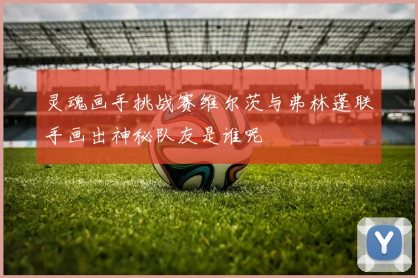 灵魂画手挑战赛维尔茨与弗林蓬联手画出神秘队友是谁呢