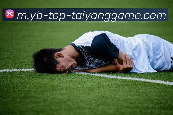 太阳城APP 封面图